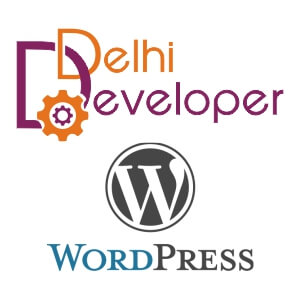 delhi developer wordpress
